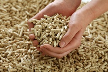wood pellets 6mm din+ - product's photo