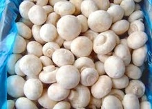 mushrooms - product's photo