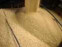 soybean meal  for animal feed - product's photo