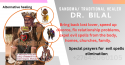 love spells +27648060105 gay love spell that works in kroonstad, alask - product's photo
