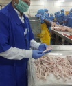frozen grade a chicken feet - product's photo