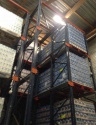 high quality red bull energy drinks 250ml - product's photo