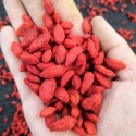 organic goji berry eu stanard non-gmo - product's photo