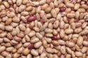 bulk pinto kidney - product's photo