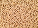 soybeans - product's photo