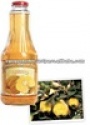 georgia fresh-squeezed quince  - product's photo