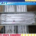  frozen fresh ribbonfish - product's photo