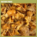 	 cantharellus cibarius - product's photo