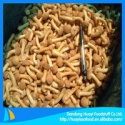 fresh frozen mushroom - product's photo