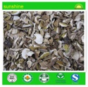  large edible bolete mushroom - product's photo