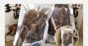 medicinal mushroom - product's photo