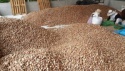 dried betel nut  - product's photo