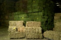  alfalfa hay in bales - product's photo