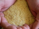 soya bean meal - product's photo