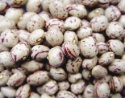 long shape light speckled kidney bean - product's photo