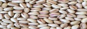 pistachio - product's photo